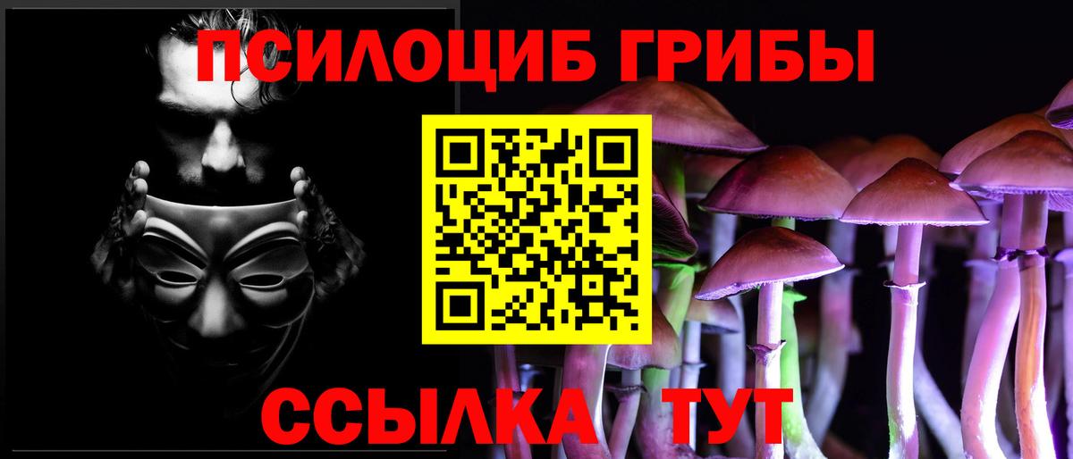 Галлюциногенные грибы Psilocybine cubensis Белгород